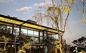 Ecolounge Studios